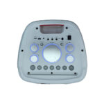اسپیکر پارتی JWC مدل HZ-h2210A – 80W